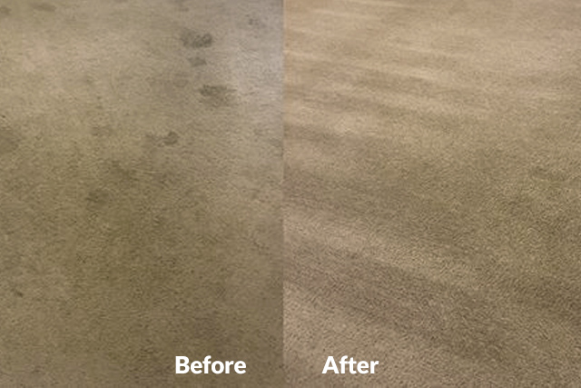 Carpet Cleaning Victoria BC By Luv-A-Rug