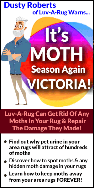 how to get rid of moths in your area rug