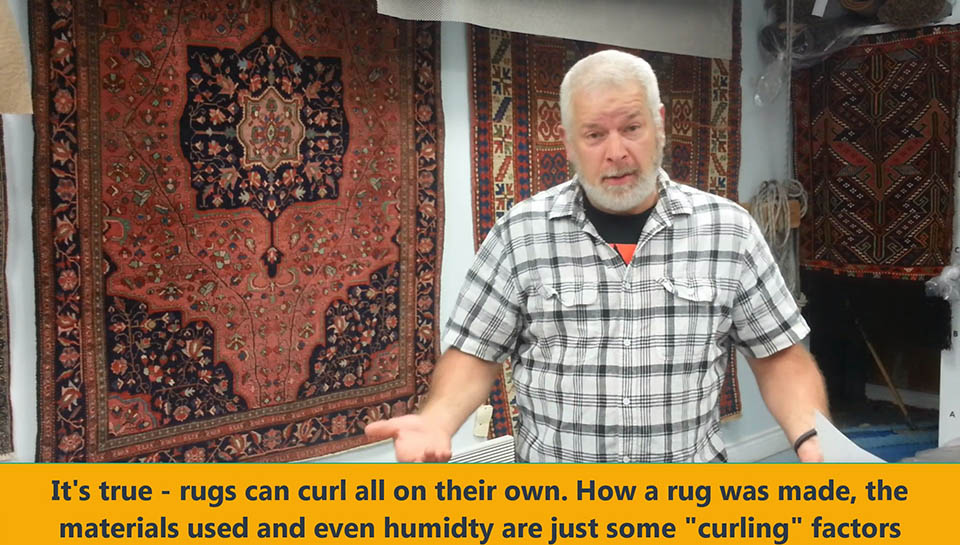 why area rugs curl on their own