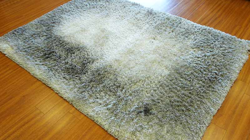 Ugliest Rug, How To Clean A Really Dirty Area Rug