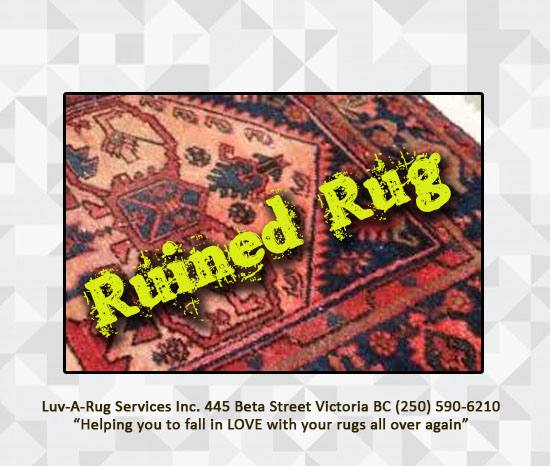 why-you-should-never-have-area-rugs-cleaned-in-your-home